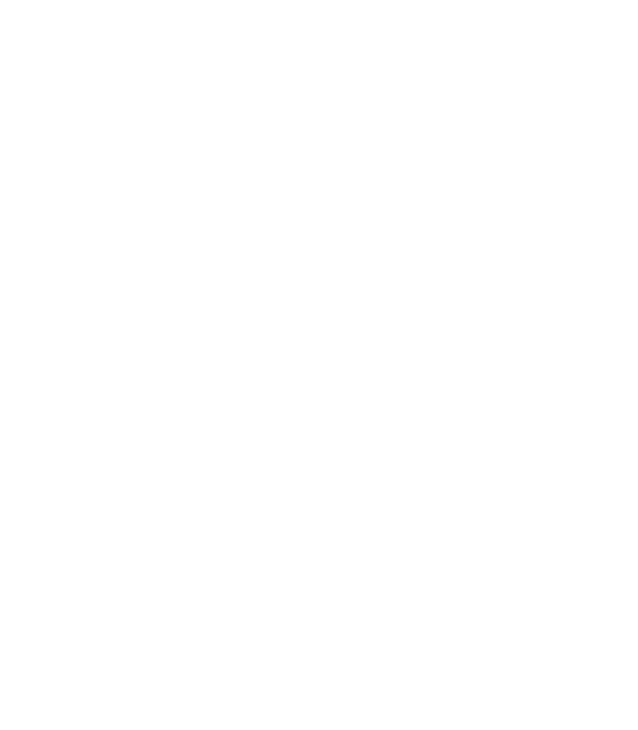 Le cheval ZUGFeRDig